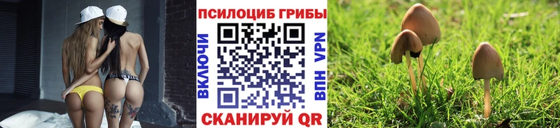 Псилоцибиновые грибы GOLDEN TEACHER Нововоронеж
